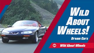 Dream Cars | Wild About Wheels