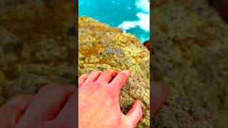 Wait for it 🤯😍😳 #travel #lifeisbutadream