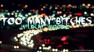 Wildcat Woodz - Too Many Bitches
