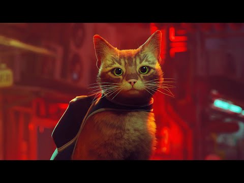 The Notebooks 1 Hour Loop - Stray OST