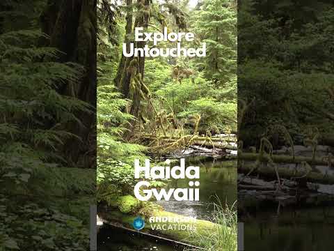 POV: Taking A Relaxing Walk In Haida Gwaii By A River