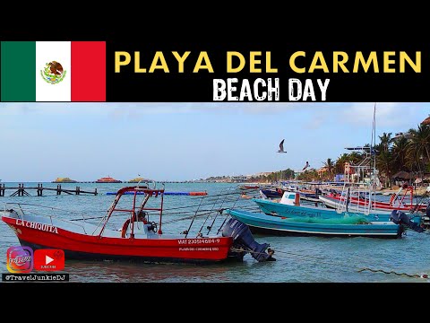 Playa Del Carmen Mexico: A day at the Beach / Walking Tour / Travel Junkie DJ  Mexico in 4K