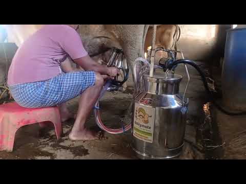 Double Can Motor Operated  Milking Machine