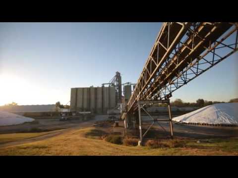 Cgb Grain