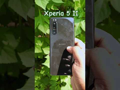 Xperia 5 ii Camera Test #shorts #sonyphone #sonyxperia