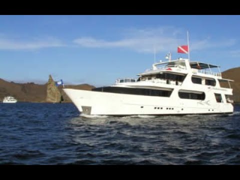 Galapagos Aggressor III - liveaboard diving Wolf & Darwin