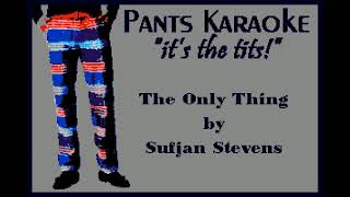 Sufjan Stevens - The Only Thing [karaoke]