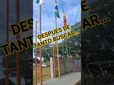 Después de tanto buscar… fui a la prefectura en Brasil 🇧🇷