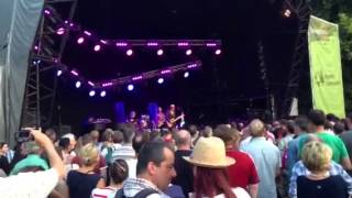 Elvis Costello. Alison. Thetford Forest 13/7/13