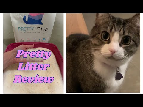Pretty Litter Review!  Is Pretty Litter Worth It?