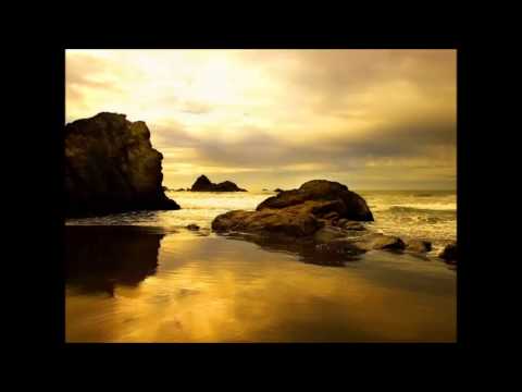 Christian Burns & Paul Van Dyk - We Are Tonight Men D Remix)