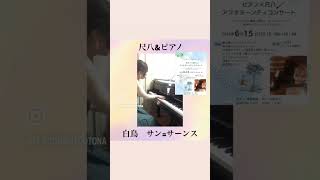 Download lagu サン=サーンス　白鳥　尺八とピアノ #ロシアピアニズム mp3