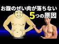運動してるのに?お腹の体脂肪がなかなか落ちない5つの原因!ダイエットの落とし穴。