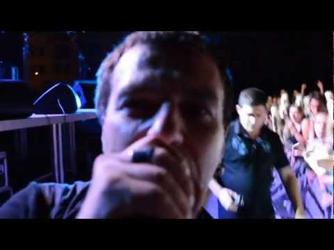 Van Gogh Pale 2012 (trailer)