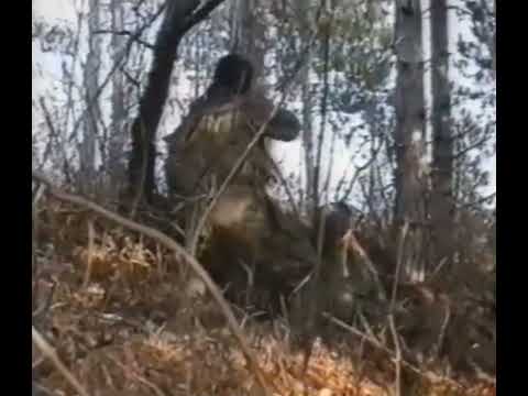 OFANZIVNA ARBIH 5 KORPUS⚜️⚜️⚜️⚜️⚜️⚜️