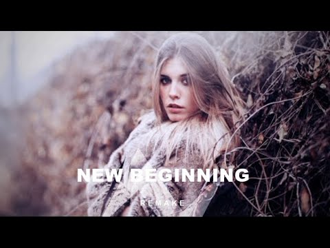 Alan Walker Style, Sk Hall - New Beginning ft. Ludwing (Official Audio)