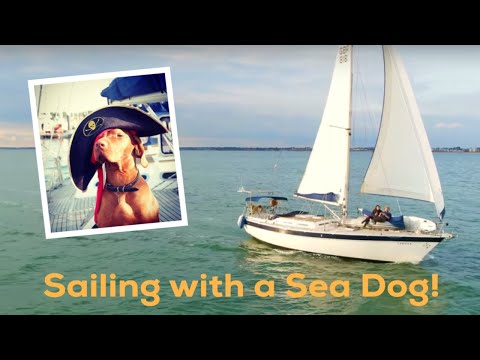 Sailing With A Salty Sea Dog - Ep16