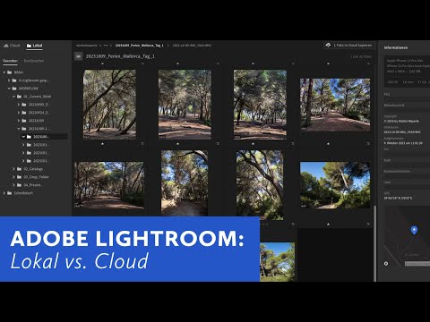 Adobe Lightroom: Lokal vs. Cloud