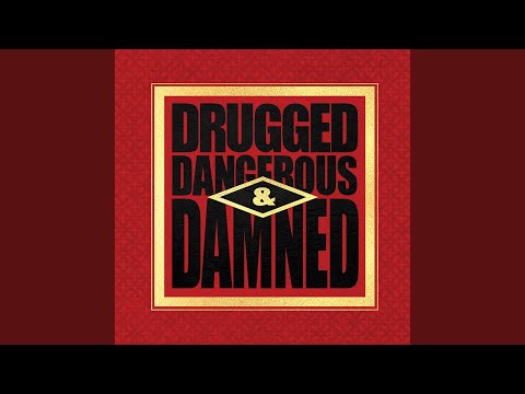 Rock n Roll Refugee (PIG Remix)