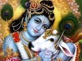 Sri Brahma Samhita Swarupa Damodara Dasa