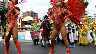 草加よさこいサンバフェスティバル2024⑩G R E S  アカデミコス ダ グローリア