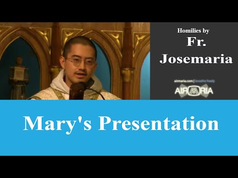 Mary's Presentation - Nov 21 - Homily - Fr Josemaria