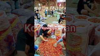 Download lagu serious drop #shortsvideo mp3 Download lagu serious drop #shortsvideo mp3