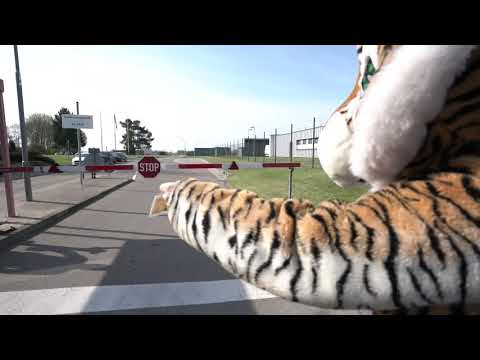 „The Bavarian Tiger“