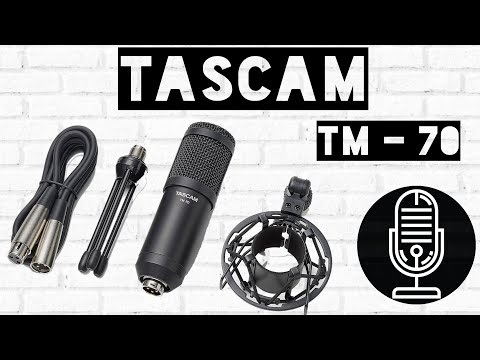 Обзор микрофона Tascam TM-70