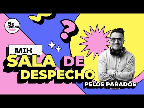 SALA DE DESPECHO MIX (LUIS MIGUEL, PAULINA RUBIO, SHAKIRA, EMMANUEL, FLANS, ALEJANDRA GUZMAN)