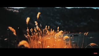 صورة إنت عارف إنك هتتسأل السؤال ده ؟! .. ( سؤال غير متوقع ) .. مقطع جميل جدًا .. د . حازم شومان