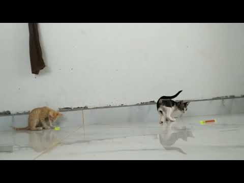 hasini version #shorts vedio 😍