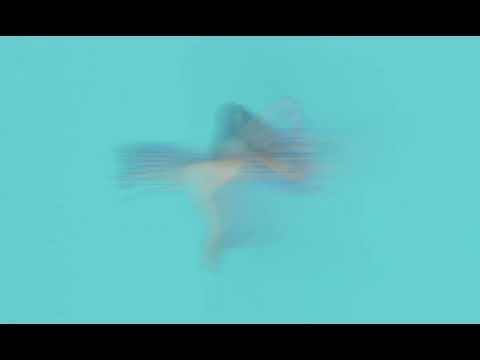 Kelly Moran - Moves in the Field (Full Album)