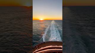 This Is Why I Love Cruising…😍