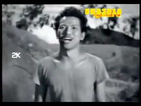 Panggilan Pulau 1954 Full Movie