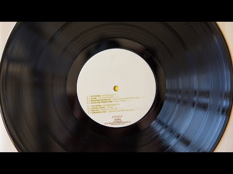 Max 404 - 'Quiddity' Last Visit (vinyl)