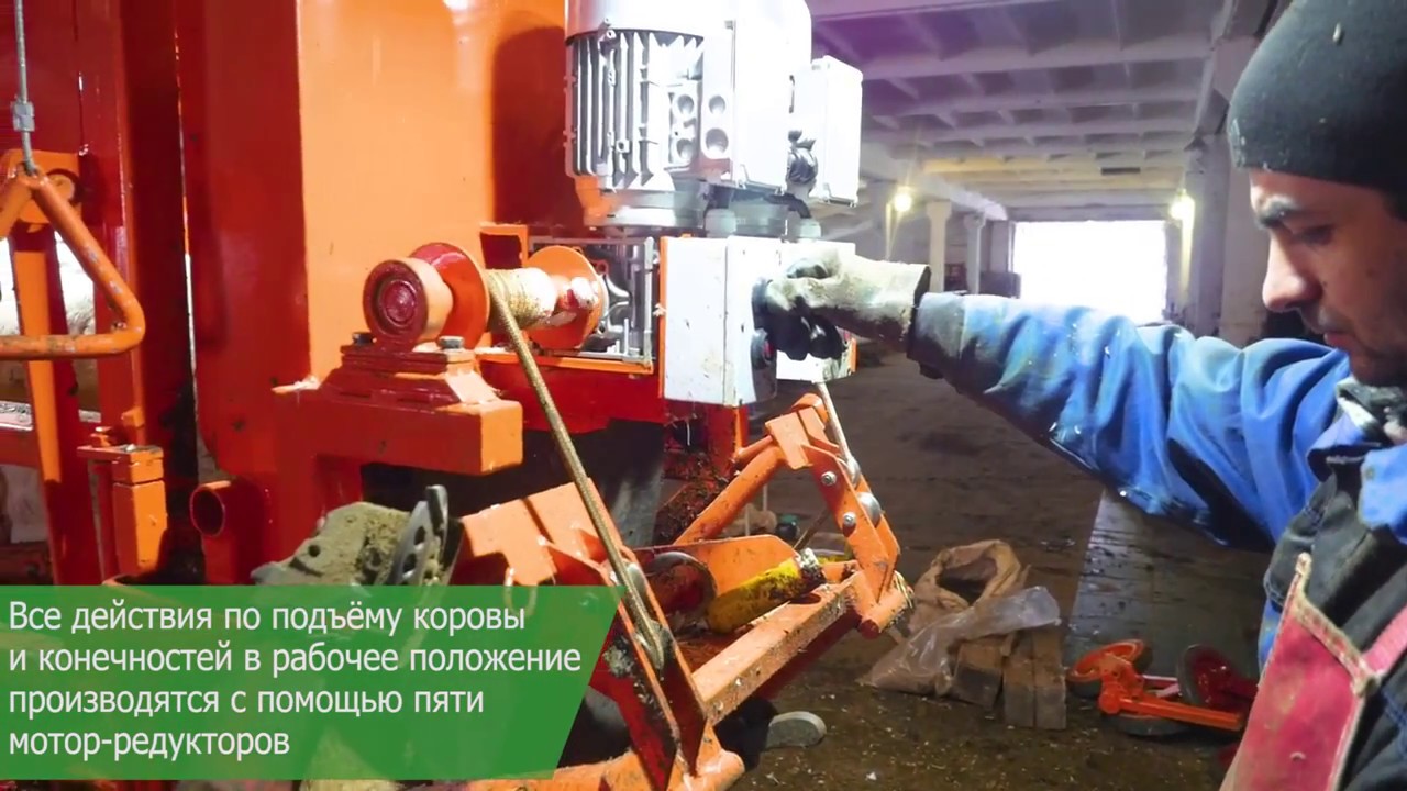 Станок для фиксации и обработке копыт КРС - СКЭМ Профи-5