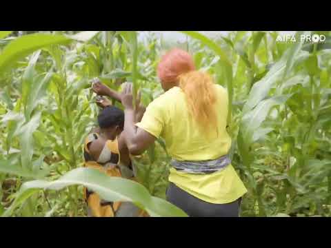 Moa Minga a enfin attrappé la voleuse dans son champ de maïs