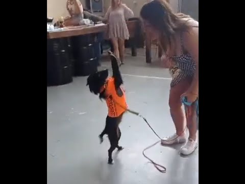 Bailando con Nereida