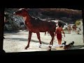The Jungle Book Peacock Scene