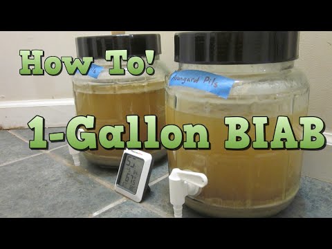 Brew 1 Gallon of Beer! - All-Grain BIAB