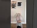 I Tried Something Different Mssethi Ms Sethi Indianbabydoll Twerkingass Shorts