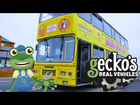 Gecko and the PARTY BUS! | Gecko's Real Vehicles | Educational Videos For Toddlers