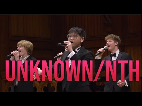Unknown/Nth | The Harvard Opportunes (Hozier Cover)