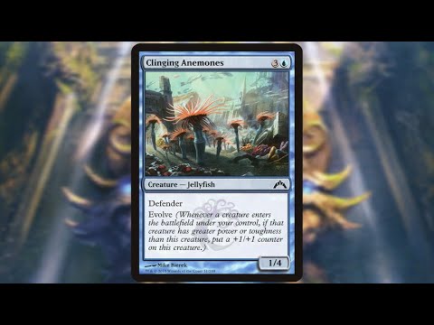 Random Card Talkin' - Clinging Anemones