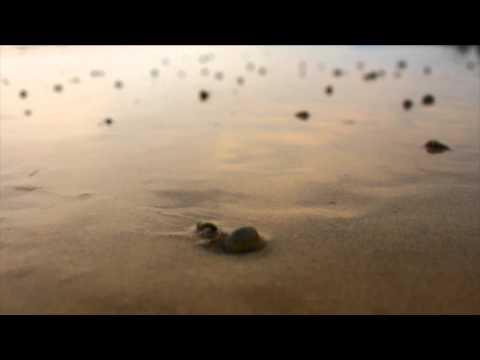 Rameses B - Stones ft. Holly Drummond