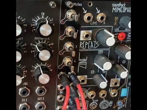 BEST FRIENDS: Mimetic Digitalis & DivKid Mutes!