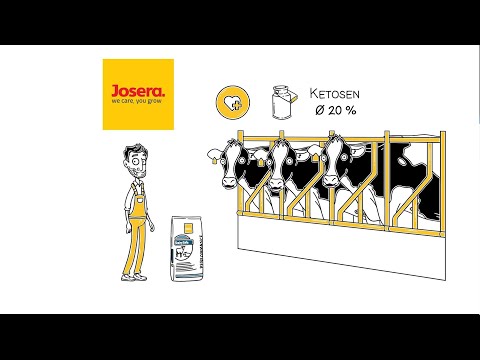 JOSERA DairySafe – Das Ergänzungsfuttermittel mit Spareffekt