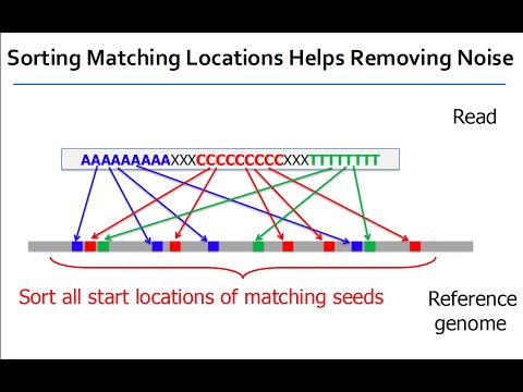 Lecture 9 | Genomic Seeding & Querying | GSU | Prof. Mohammed Alser