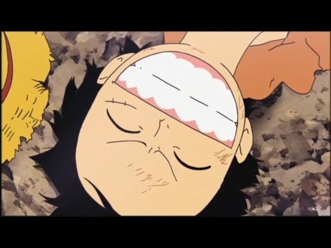 | AMV | Wildlife (Originalmix) Bá Hưng x Hoaprox